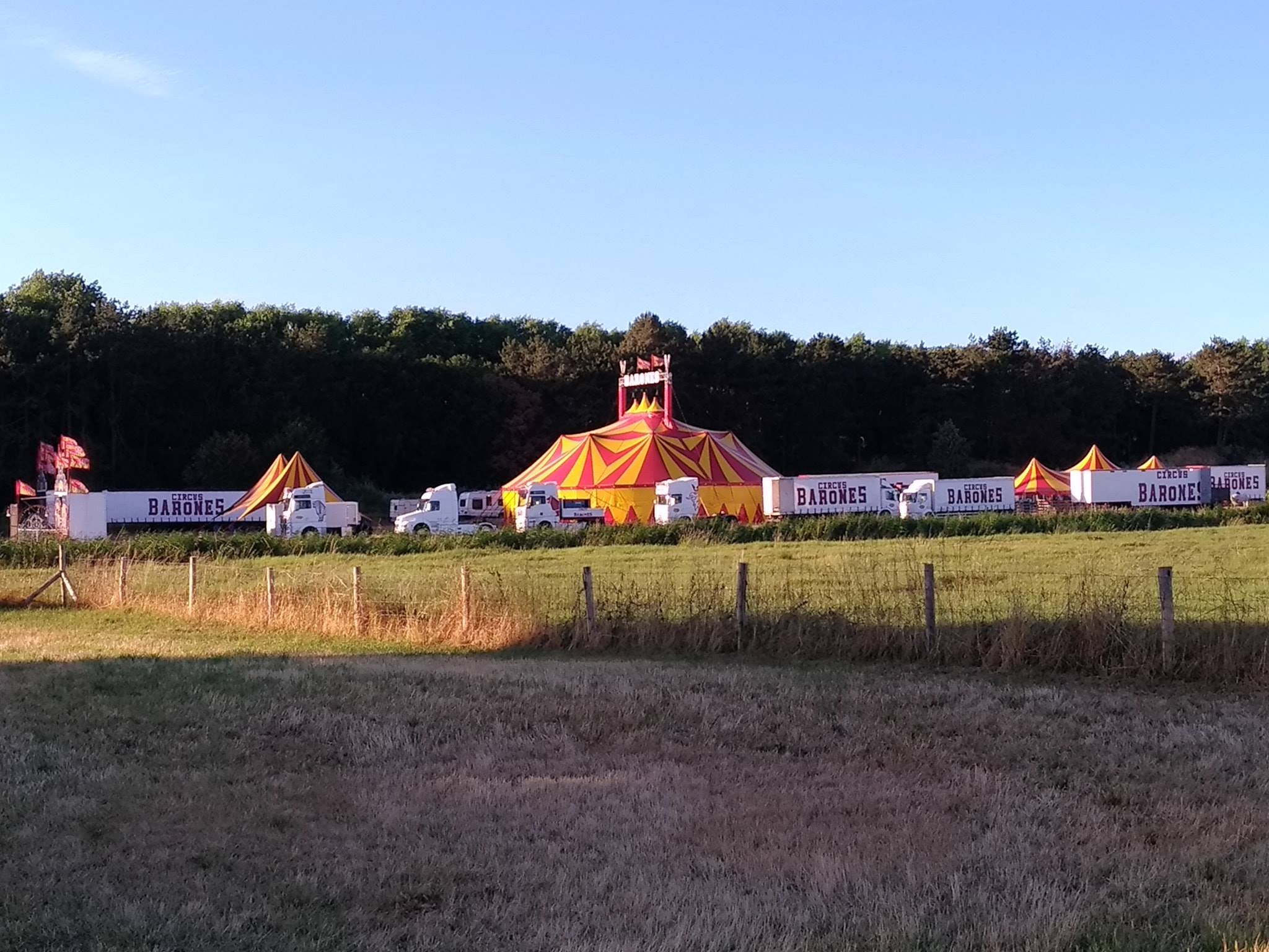 Barones Circusweb