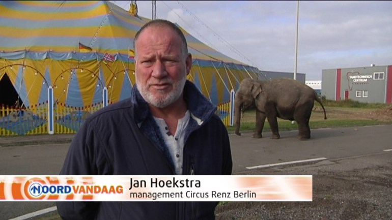 Circus verwijt staatssecretaris dood olifant