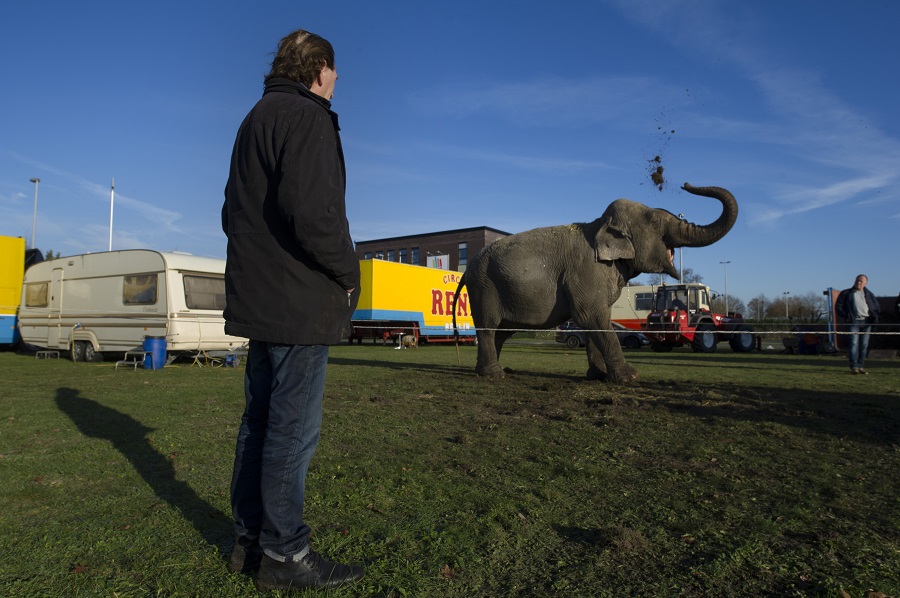 Olifanten houden strijdende partijen circusverbod spiegel voor