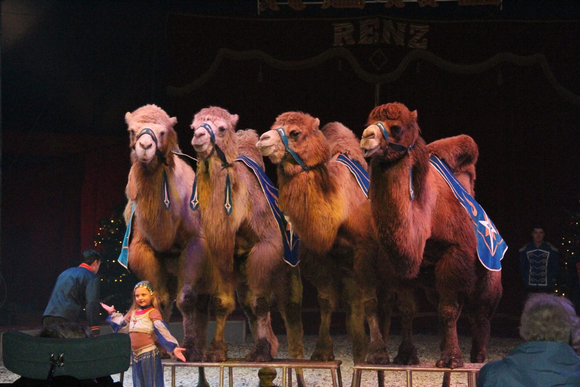 Renz Berlin vanaf 24 maart weer terug