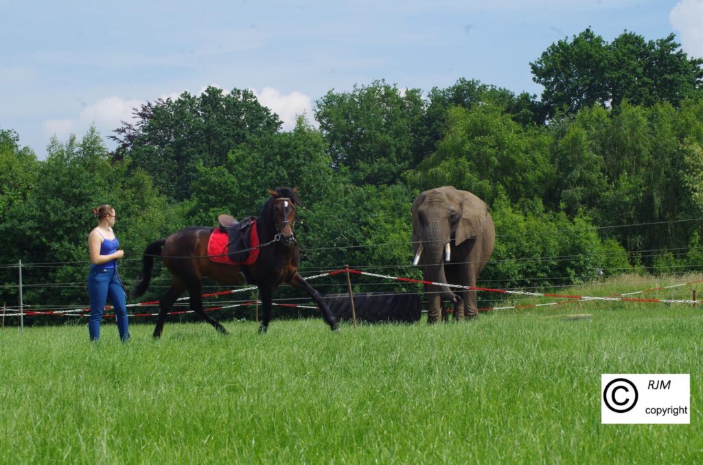 Op bezoek bij Freiwald in Eersel