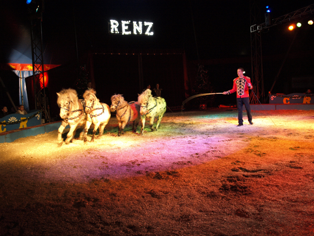 Drama, opnieuw circusdieren bevrijd bij Renz Berlin
