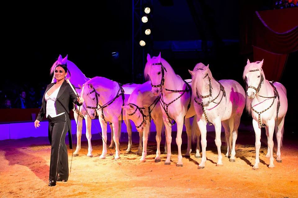 Sfeer van Wim Zomer weer helemaal terug bij Wintercircus Apeldoorn