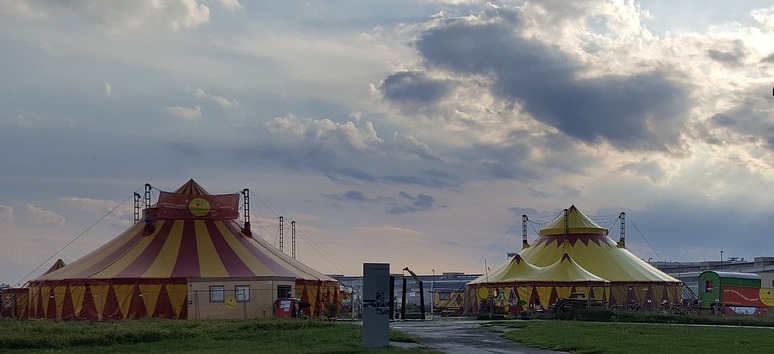 Belgische circussen bereiden zich voor op storm