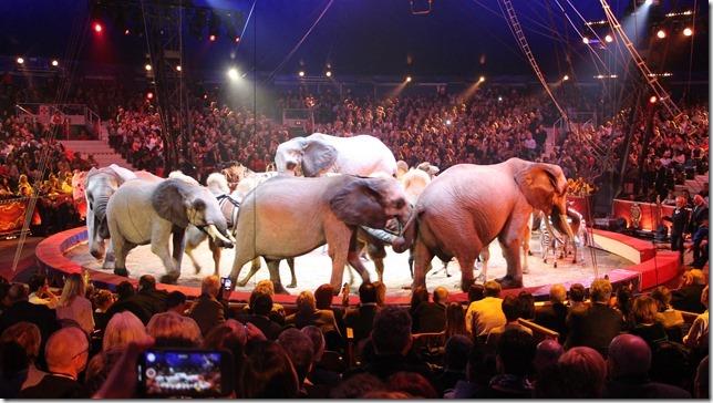 Club van Circusvrienden Limburg komt 29 april bij elkaar
