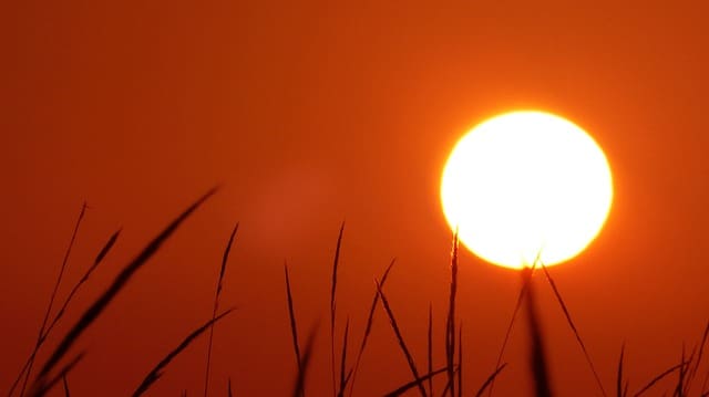 Code oranje, dierenactivisten spotlights op circussen