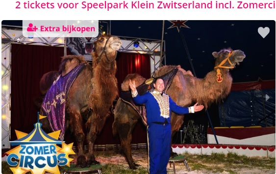 Nog meer ticketveilingen voor circusvoorstellingen - Circusweb