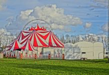 Circussen Nederland, nieuws, agenda, programma's en foto's