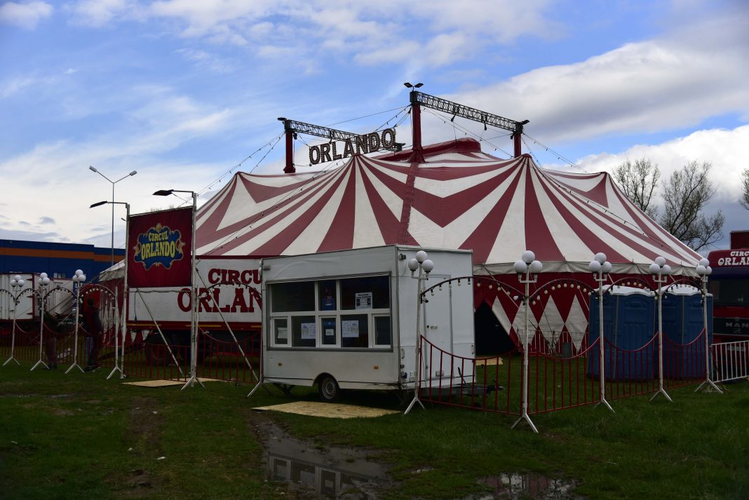 Circus Orlando Circusweb