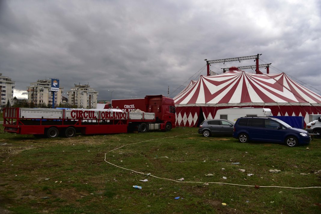 Circus Orlando Circusweb