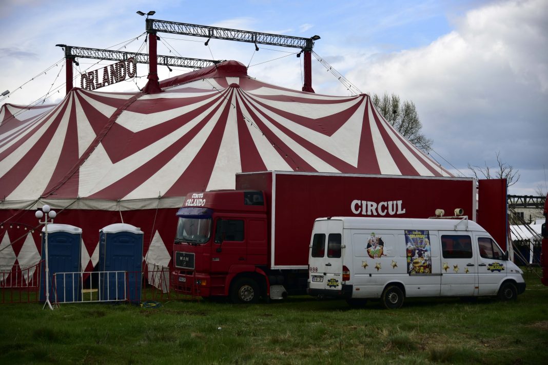 Circus Orlando Circusweb