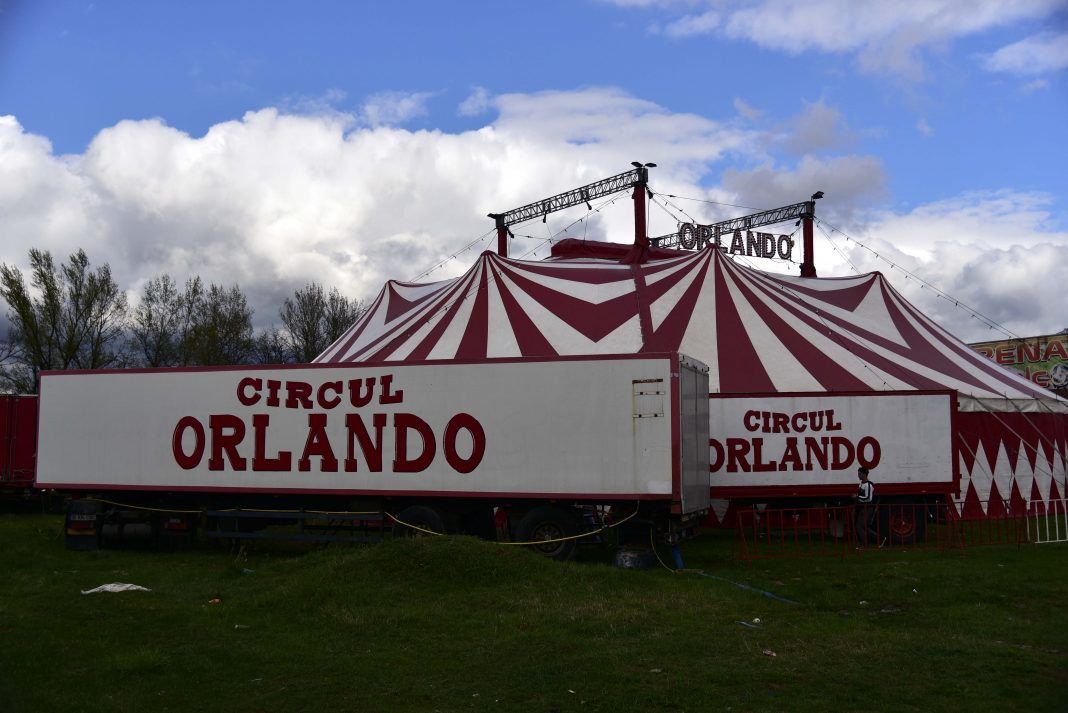 Circus Orlando Circusweb