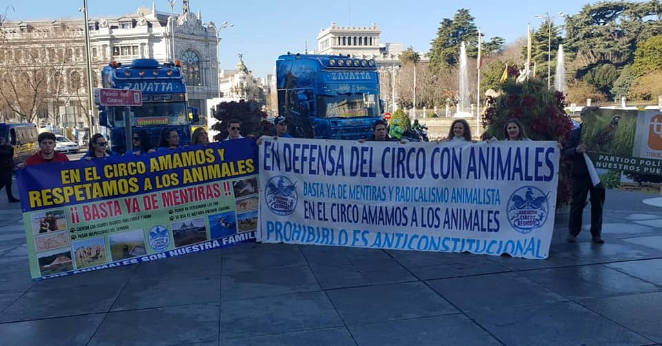 Dieren weer toegestaan in Madrid