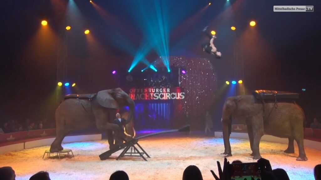 24e Offenburger Kerstcircus 2019