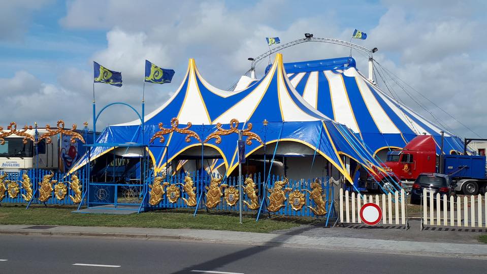 Erkenning voor circussen in Wallonië