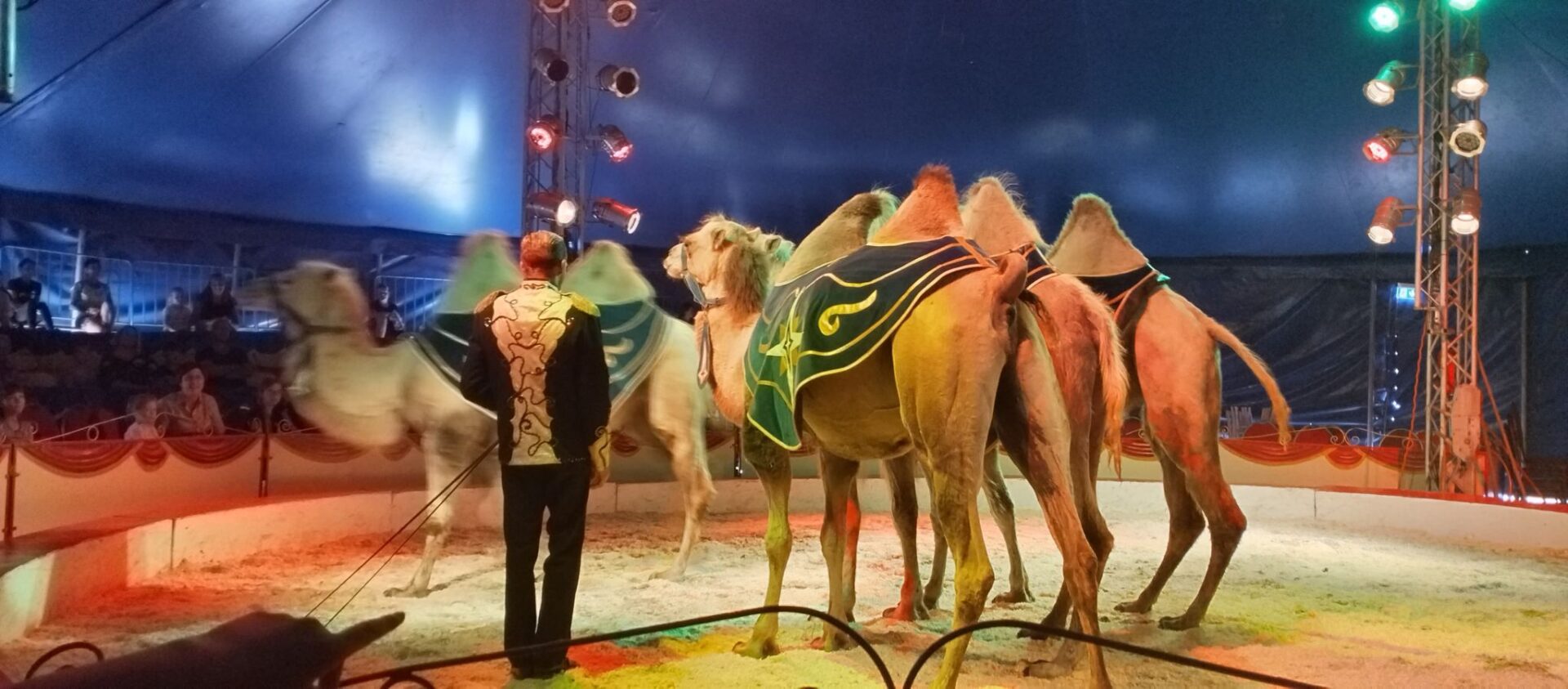Gevarieerde traditionele circusshow bij Renz Olympia