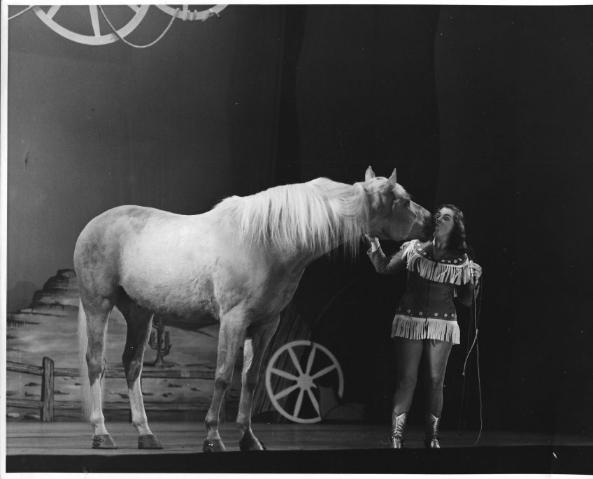 Engelands grootste paardenfluisteraar Joan Rosaire (89)overleden