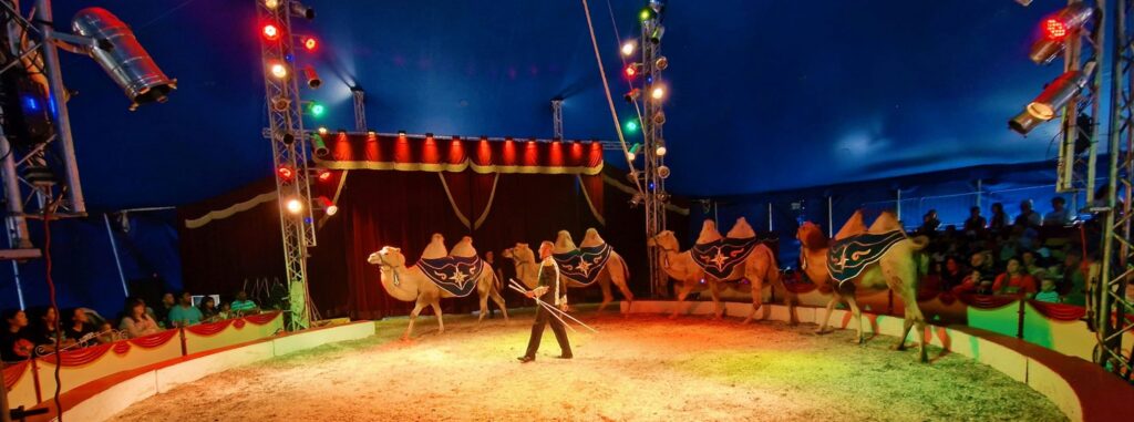 180 jarig circus Renz Olympia moet je beleven