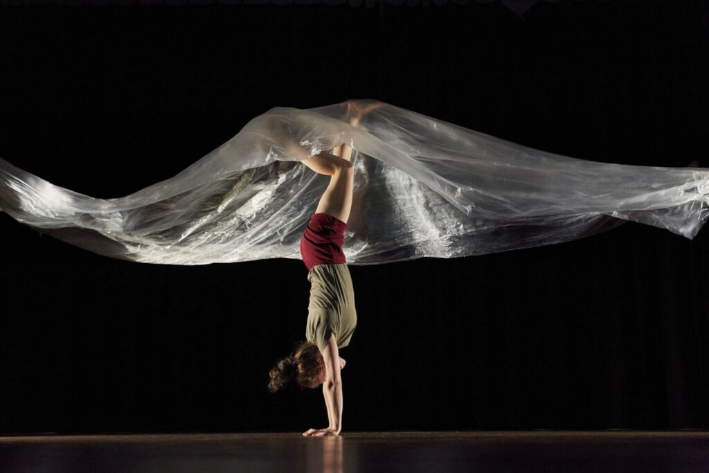 Circusvoorstelling voor baby’s en peuters in Nijmegen