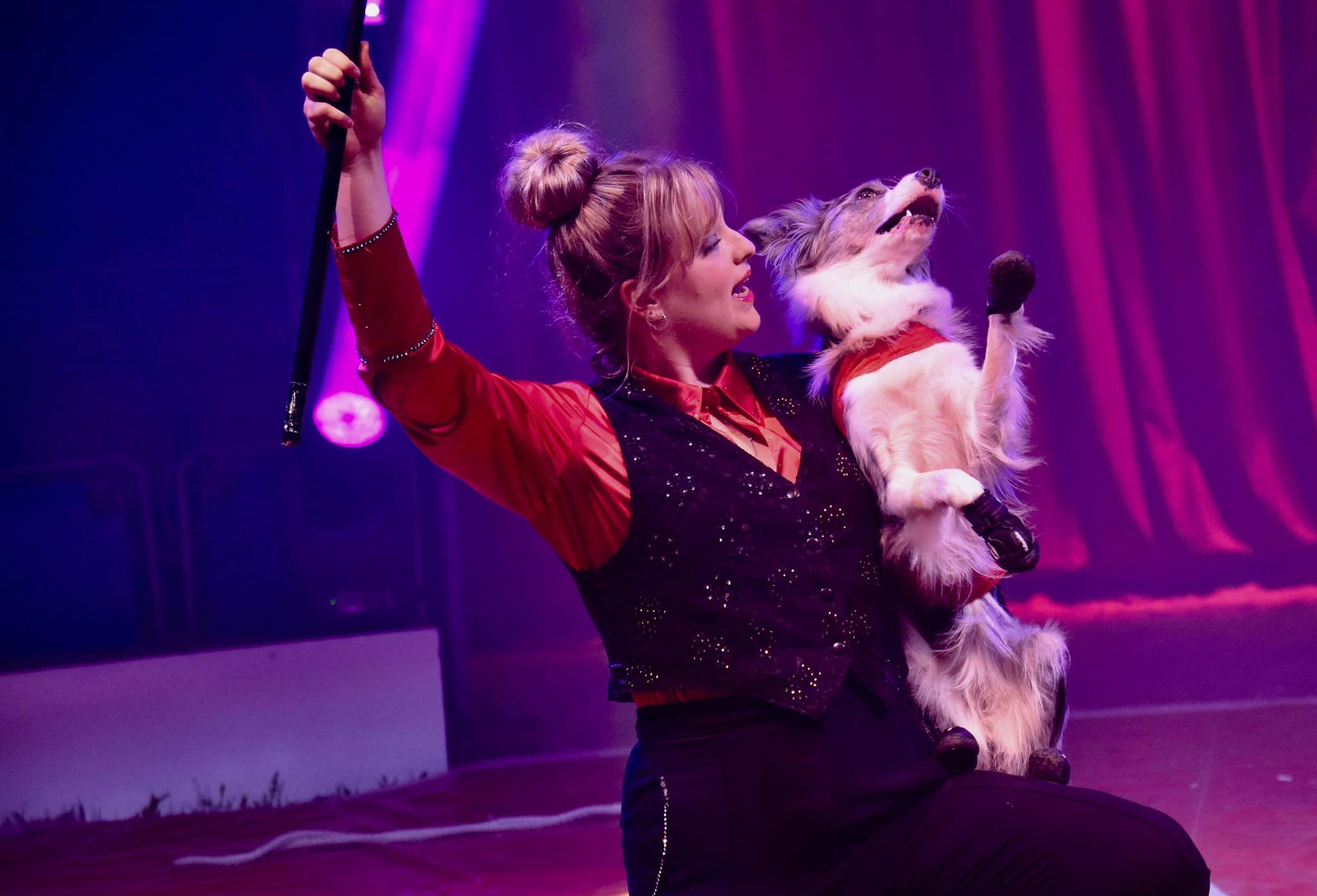 Tilburgs Wintercircus Circusweb Tilburgs Wintercircus Circusweb