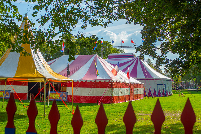 Magic Circus dupe van festivaldrift in Wilhelminapark