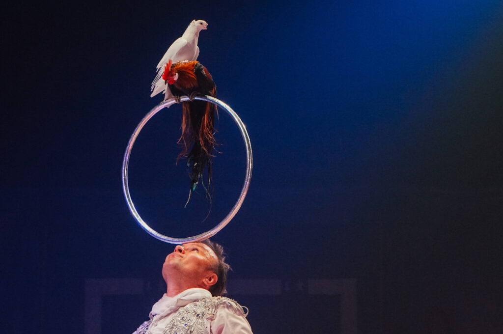 Sandor Donnerts Magical World of Circus