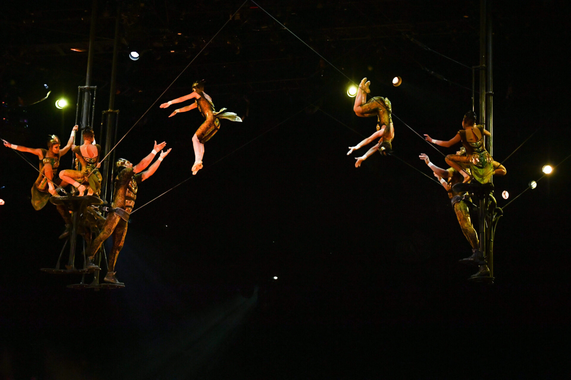 Recensie | vier sterren voor ‘OVO’ van Cirque du Soleil