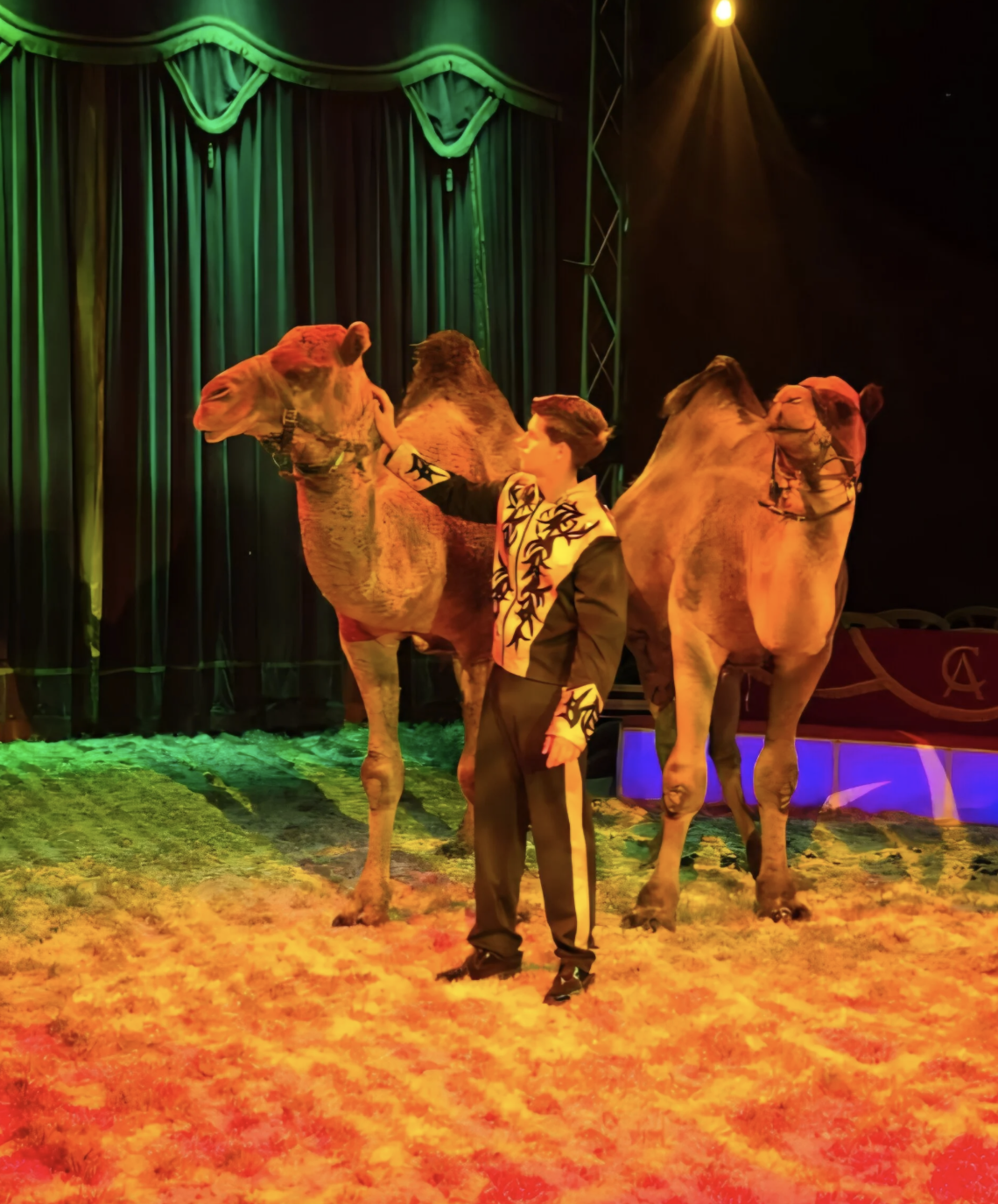 Wintercircus Pallasso, Den Bosch