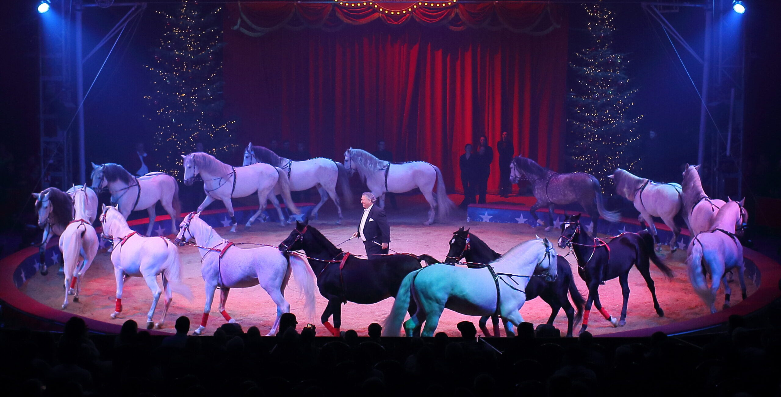 Wereldkerstcircus Carré, 26-12-2024 (CWD-42)