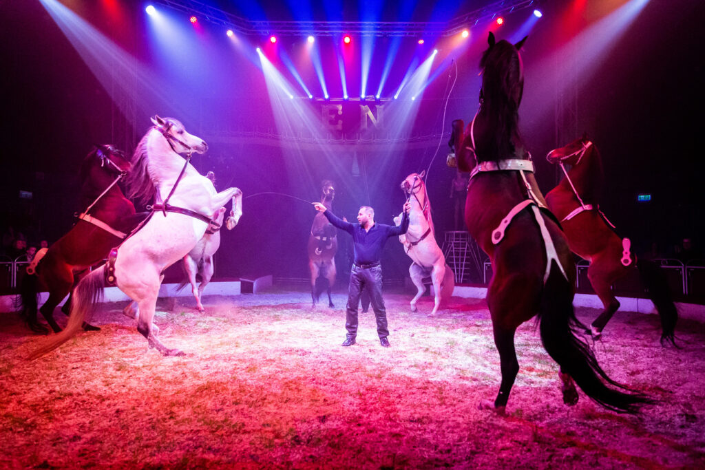 Kerstcircus Maastricht, 21-12-2024 (CWD-0000146)