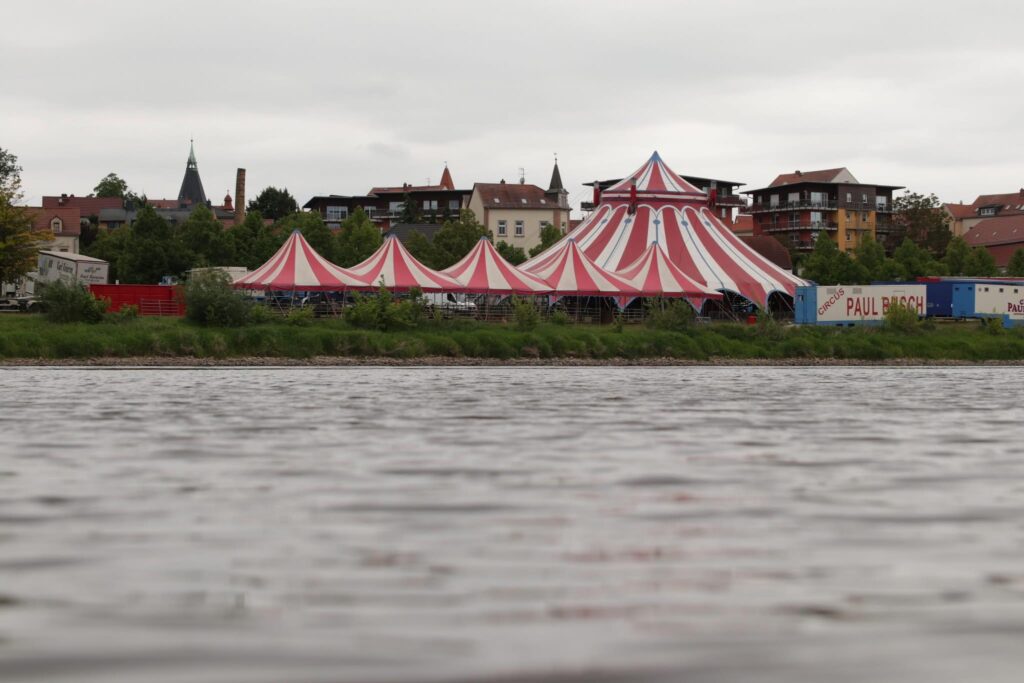 Trapeze-artieste komt om bij tragisch ongeval in Circus Paul Busch