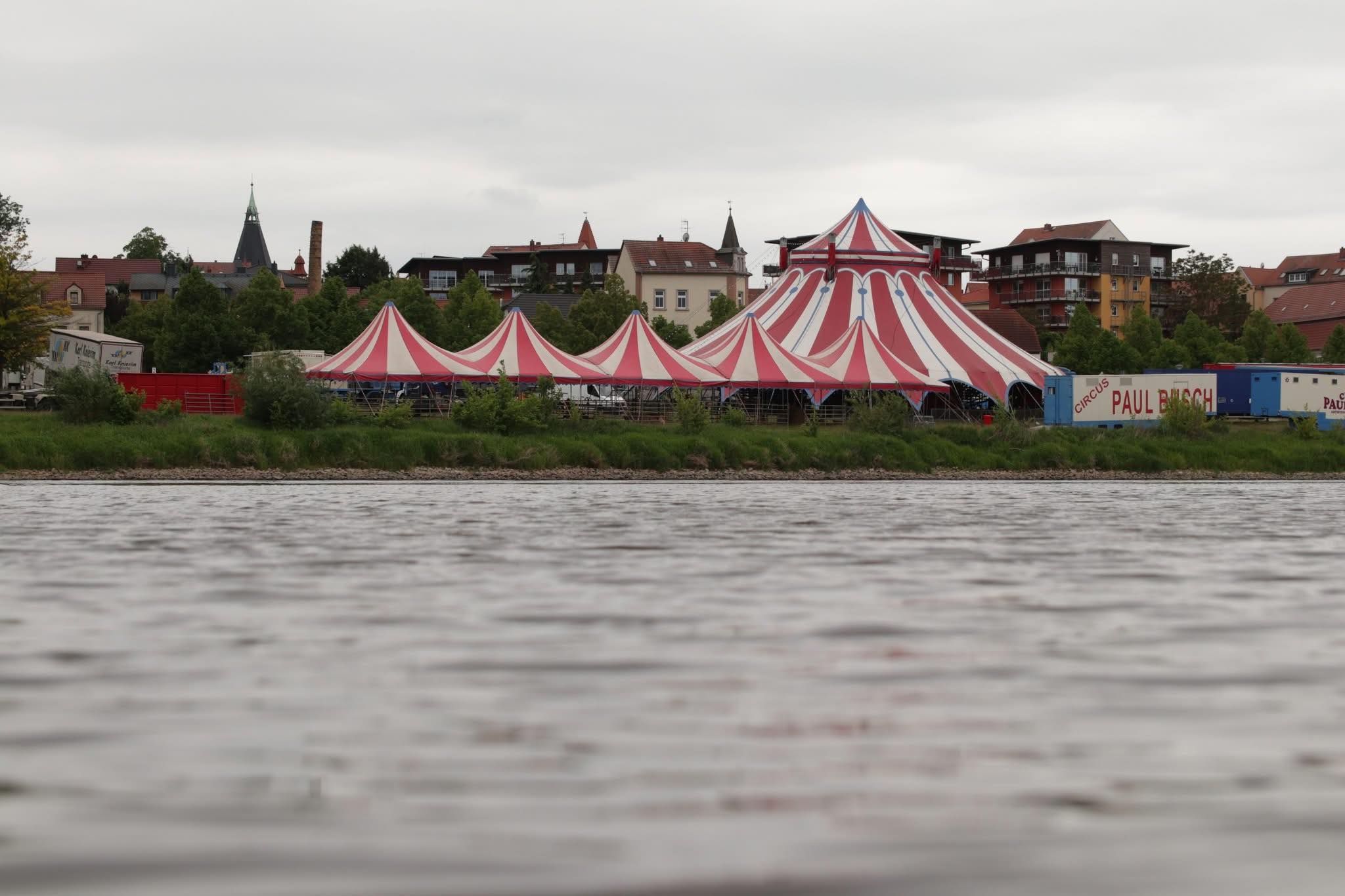 Trapeze-artieste komt om bij tragisch ongeval in Circus Paul Busch