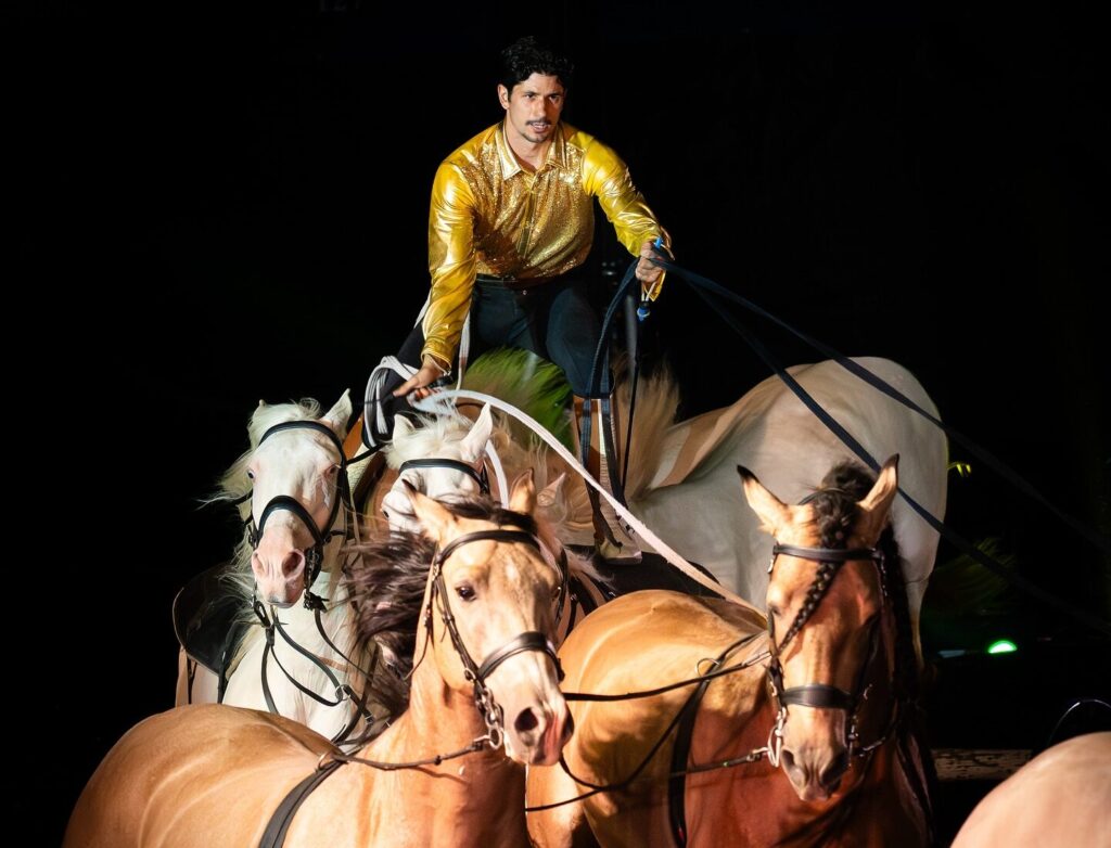 Wereldkerstcircus Carré, 20-12-2025 (CWD-29)