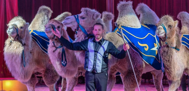 Winter Kerstcircus Zaandam, 19-12-2025 (CWD-164)