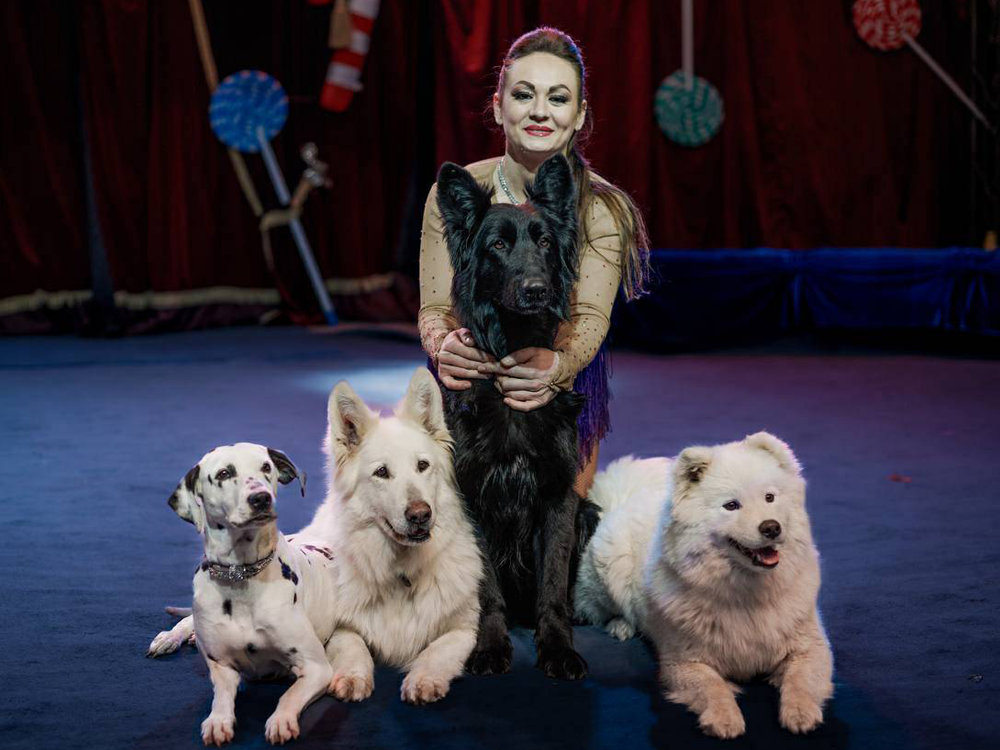 Tilburgs Wintercircus, 17-1-2026 (CWJ-32)