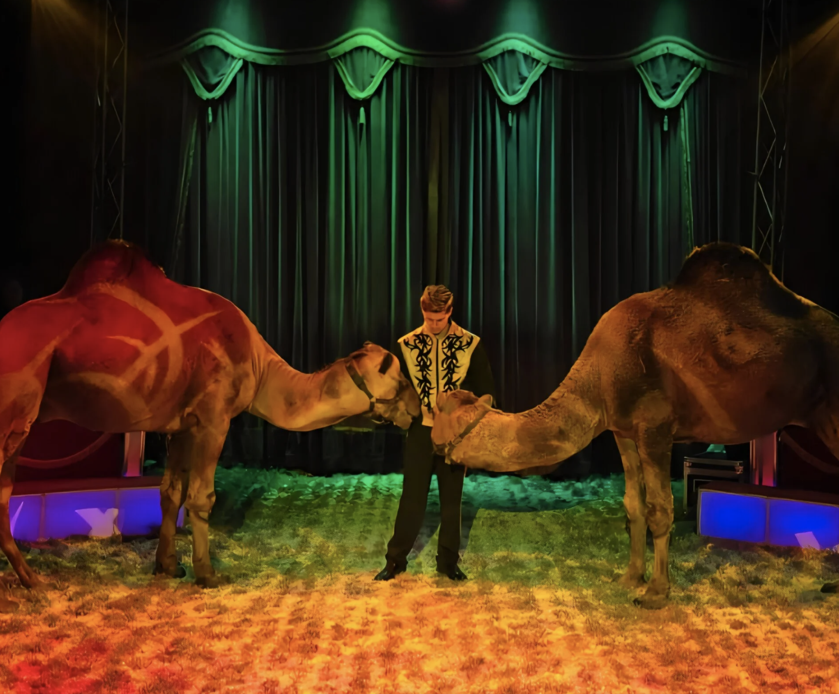 Wintercircus Pallasso, ’s-Hertogenbosch, 18-12-2025 (CWD-71)