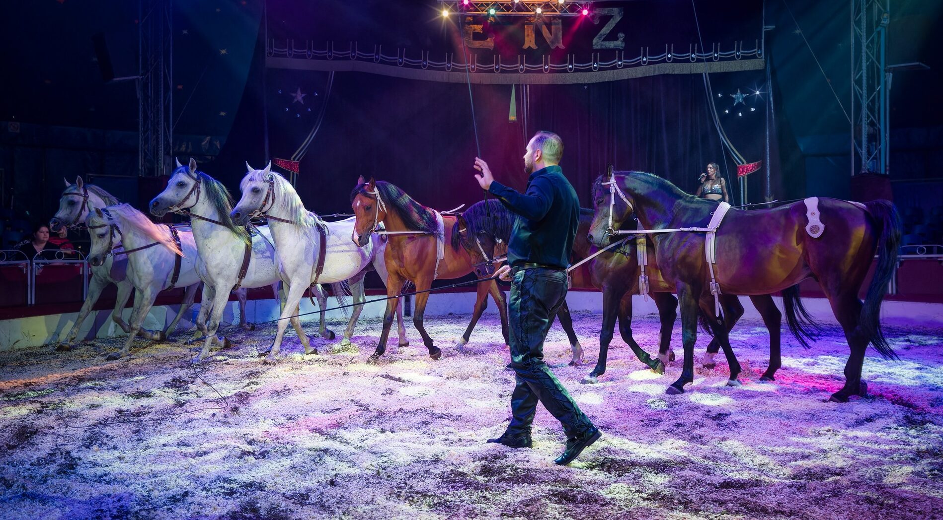 Almere voert als eerste gemeente volledig verbod op circusdieren in: wat betekent dit voor de sector?