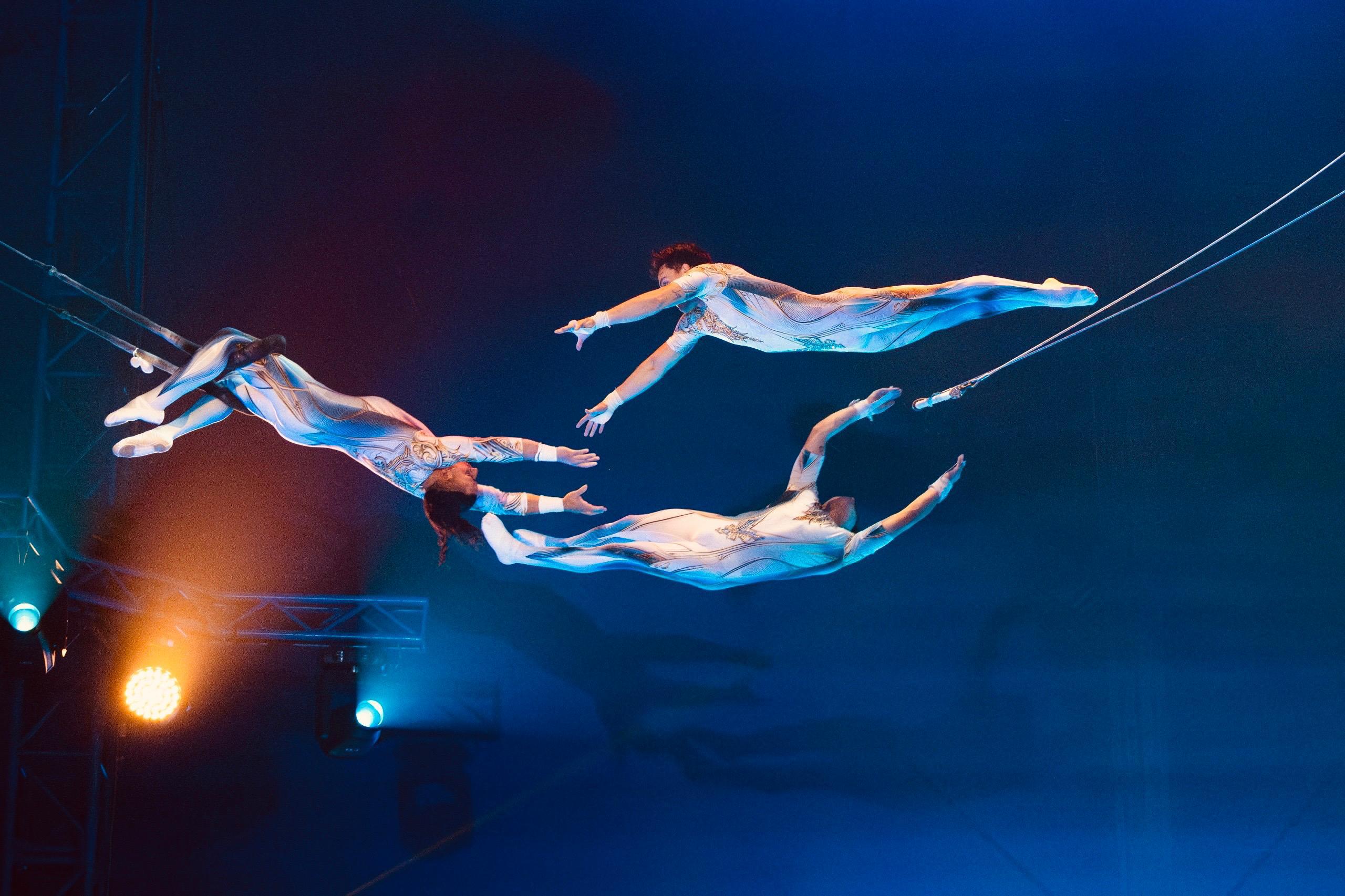 Dit zijn de artiesten in de 2025-editie van het Ashton Brothers Kerstcircus | deel 4