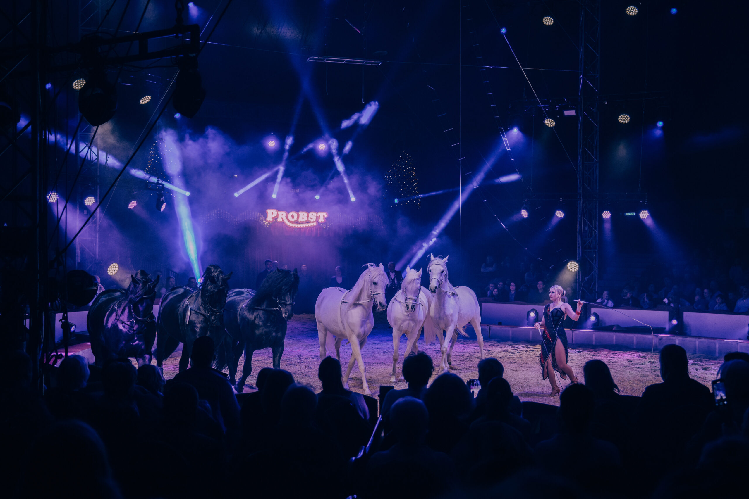 Recensie – 28e editie Gelsenkirchener Weihnachtscircus