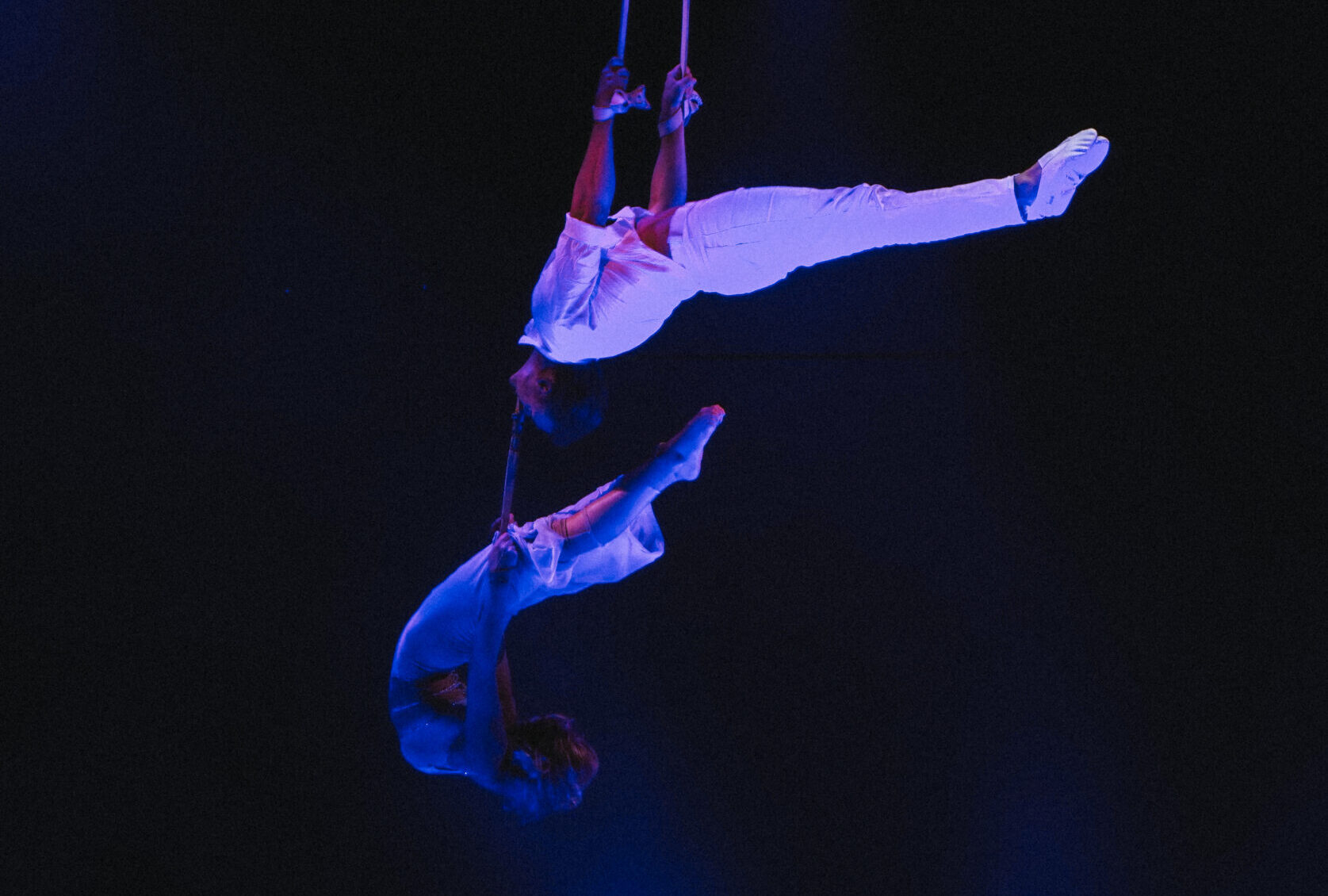 Ongeval bij Weltweihnachtscircus Stuttgart: twee acrobaten vallen tien meter naar beneden