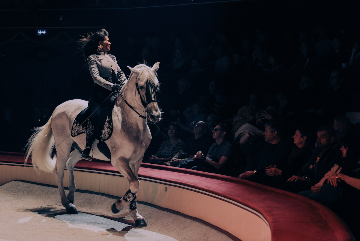 Circusweb presenteert: de tweede editie van de Parijse Week