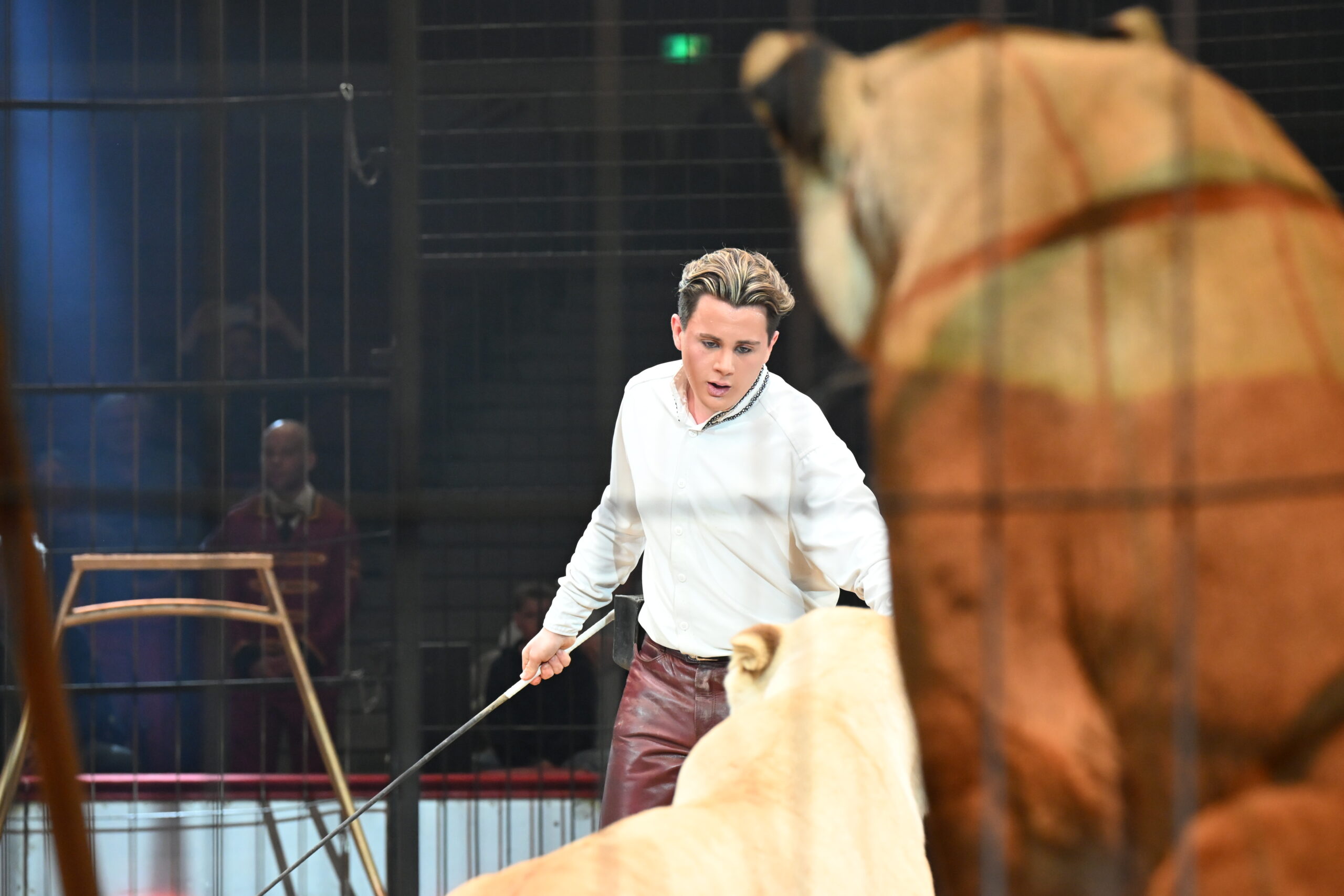 Interview met Alexis Lacey Krone – De volgende generatie met circusdieren in de piste (De Circusdieren-week)