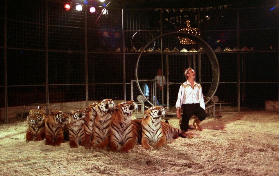 Voormalig circusartiest Job Lijfering overleden