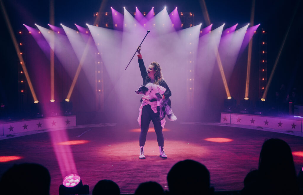 Dossier: De Circusdieren-week