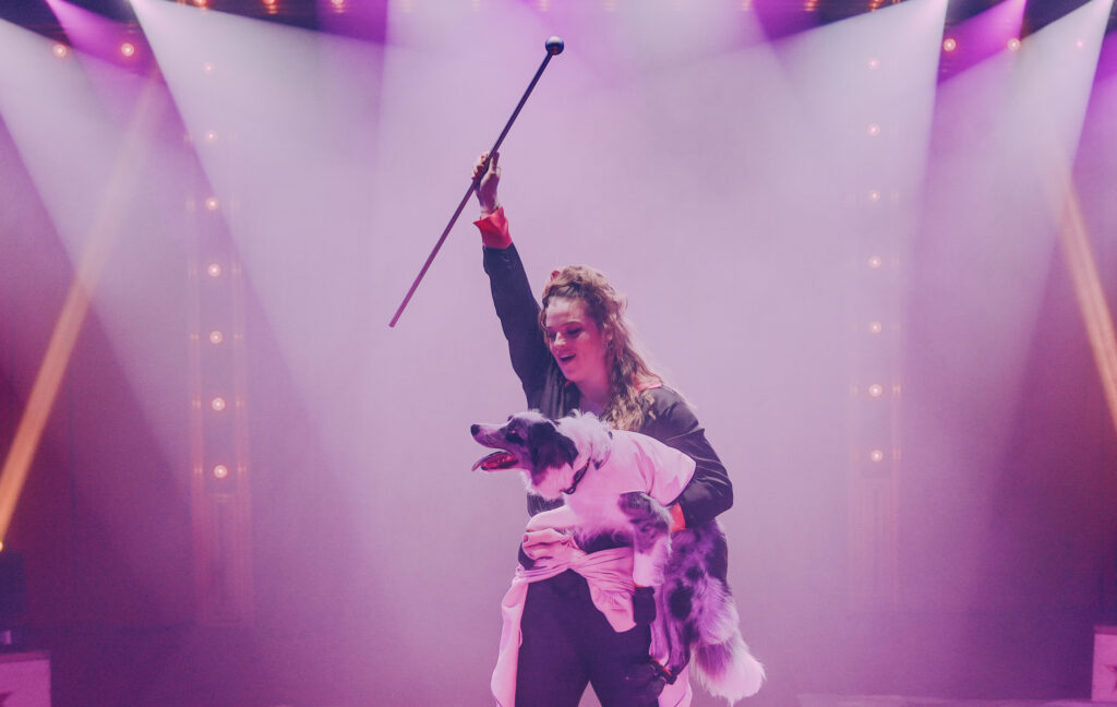 Interview met Amber Karstens, over haar collies in het circus: “Mijn honden willen samenwerken” (De Circusdieren-week)
