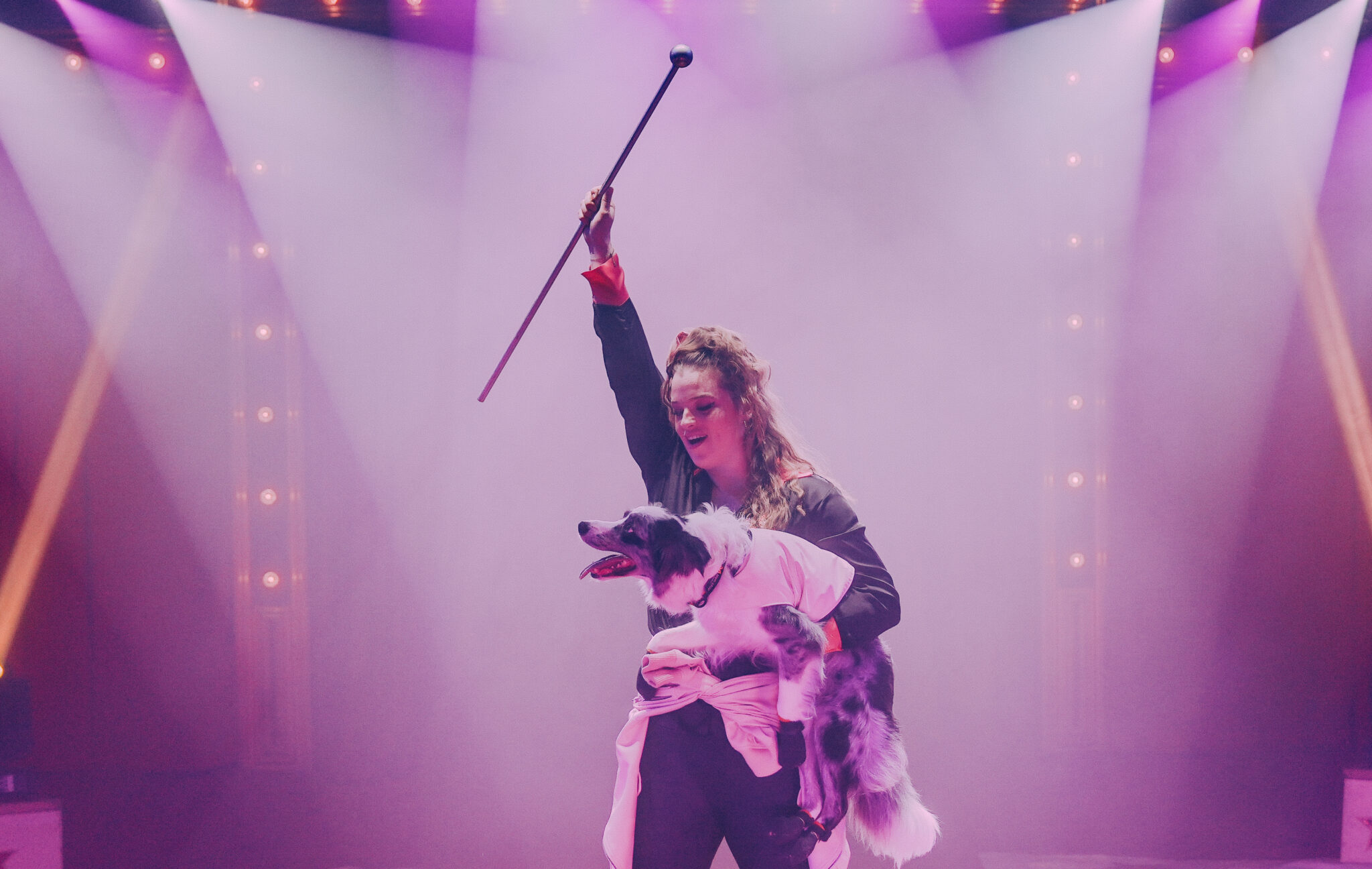 Interview met Amber Karstens, over haar collies in het circus: “Mijn honden willen samenwerken” (De Circusdieren-week)