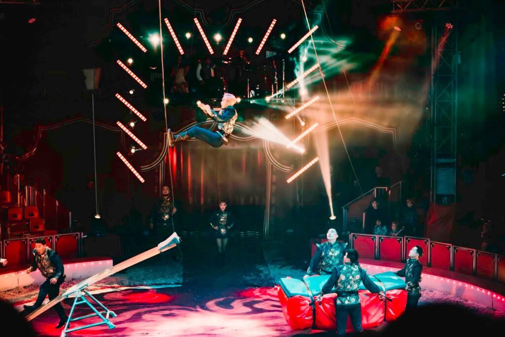 Wintercircus Royal Dordrecht deelt videotrailer nieuwe voorstelling