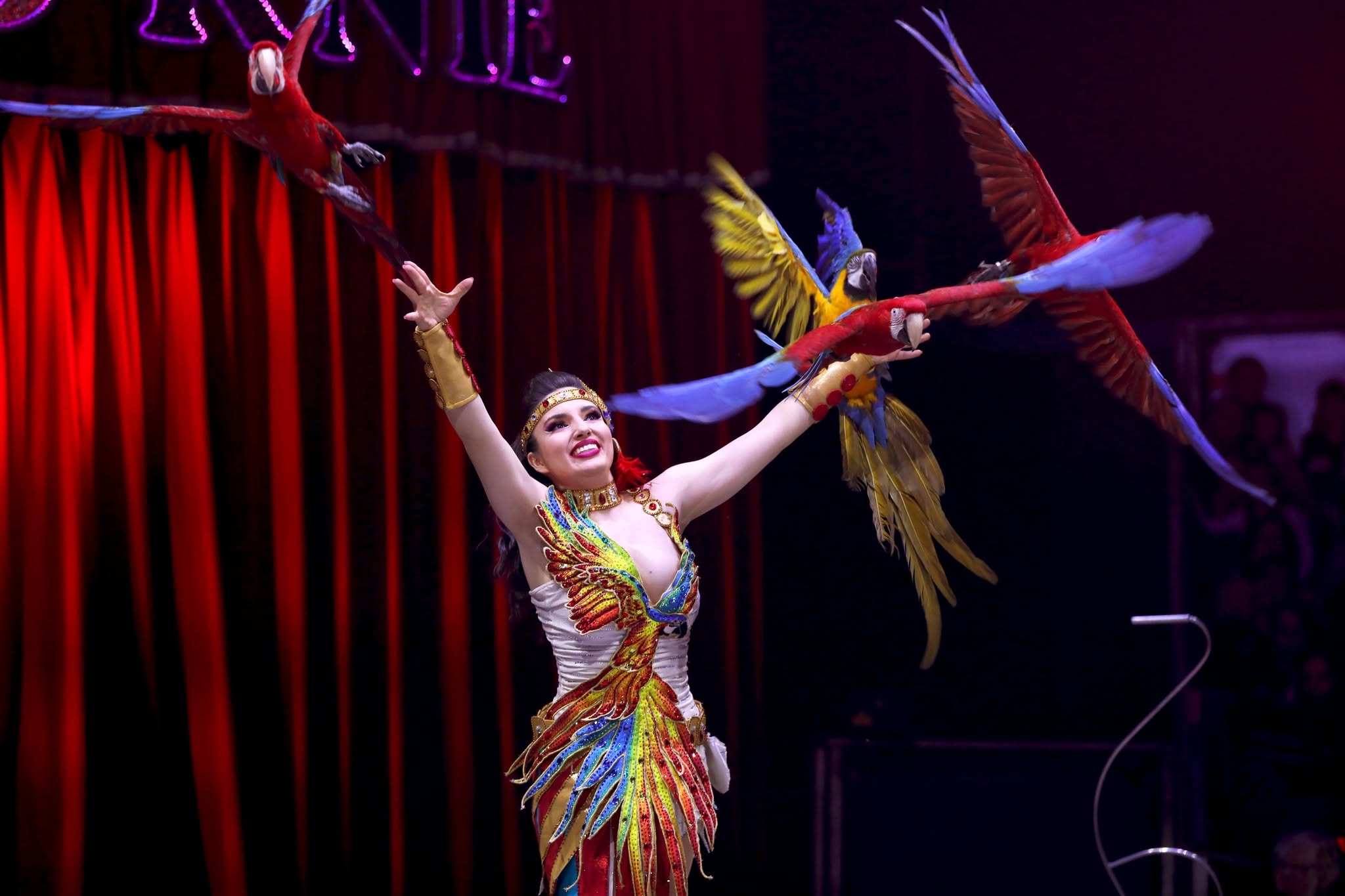 Circus Charles Knie stopt met dieren