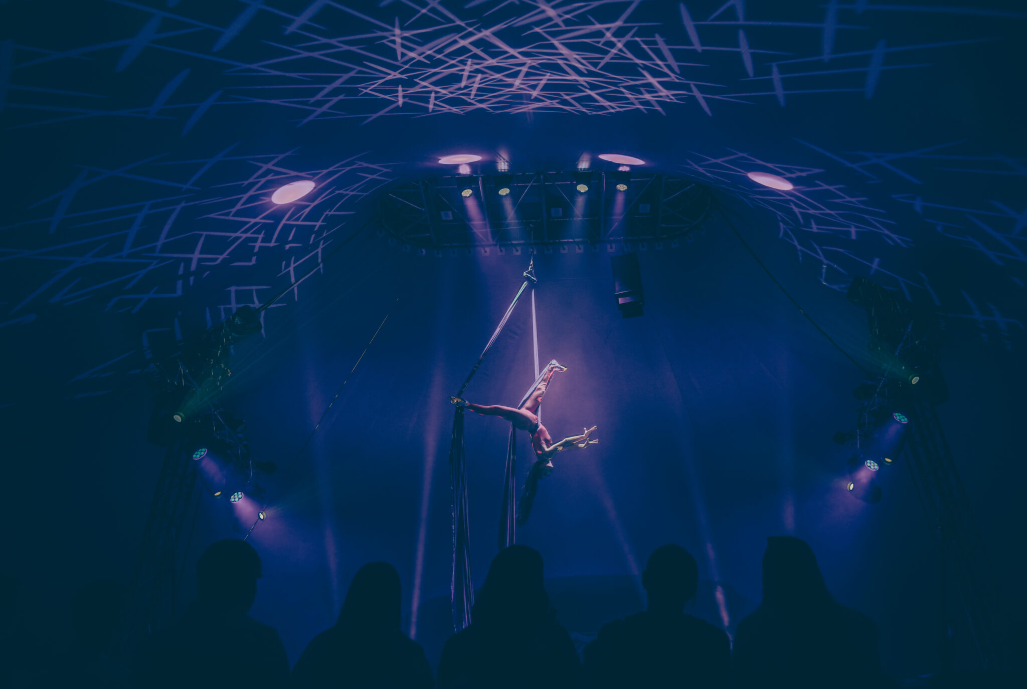 Zomercircus 2026 - artikel 1: introductie