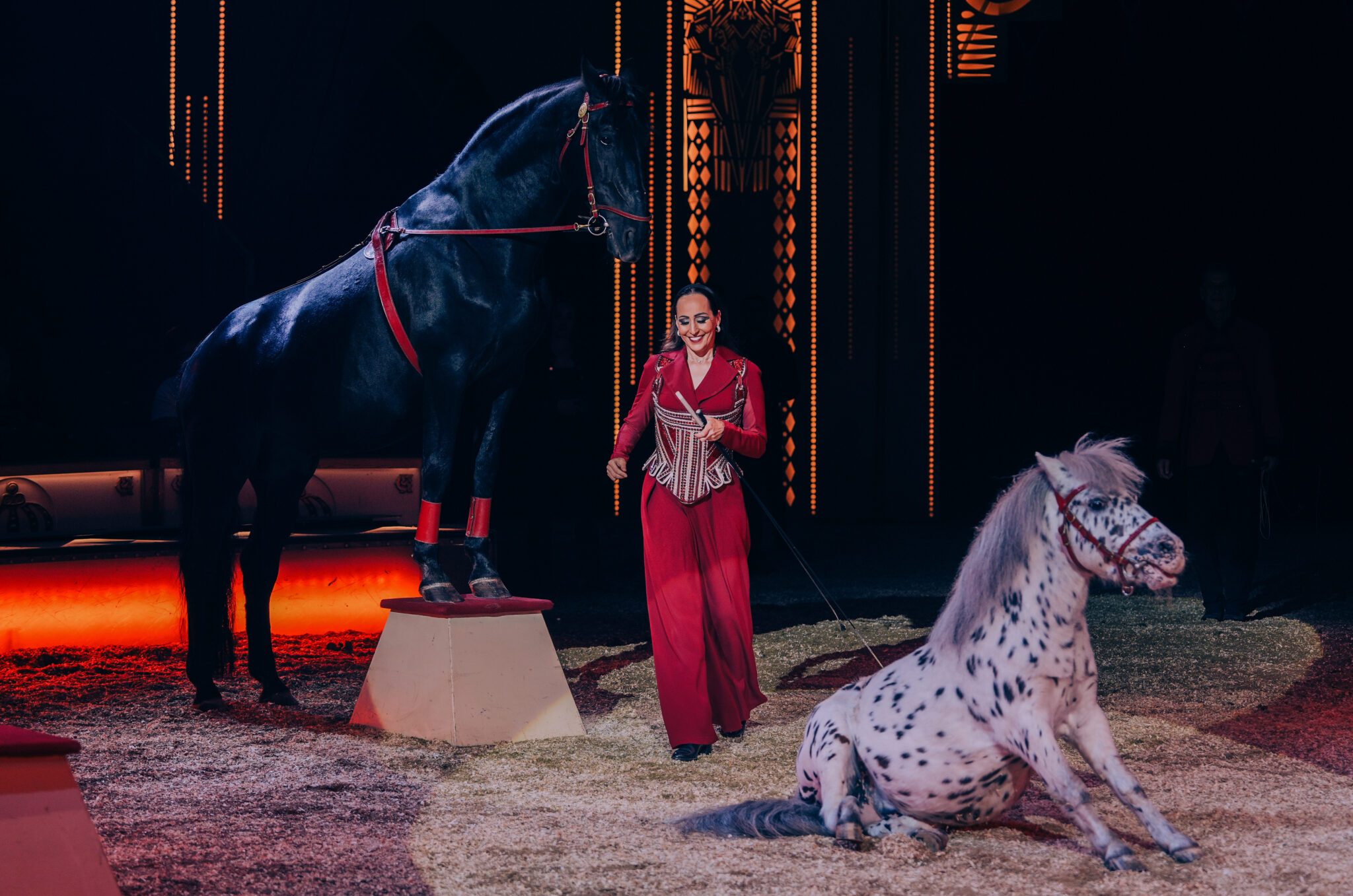 Circusweb presenteert: de Circus Krone-week!